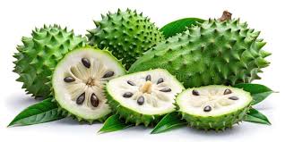 Image result for Annona muricata