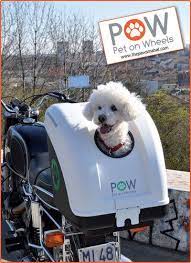 Black Pet On Wheels Pet Carrier Mounted To Motorcycle Luggage Rack Custom Bikes Custom Motorcycles Custom Paint Motorcycle