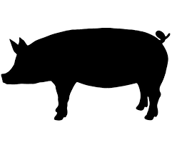 Show Pig Silhouette Clipart Best Pig Silhouette Pig Images Cricut Animals