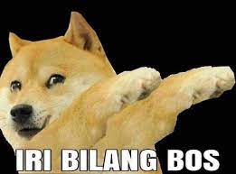  Pin Oleh Iniijaaahh Di Meme Meme Lucu Meme Anjing