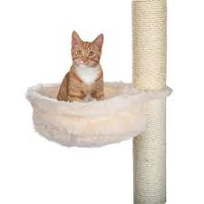 Maybe you would like to learn more about one of these? Cat Tree Replacement Post And Hammock Petsgifts