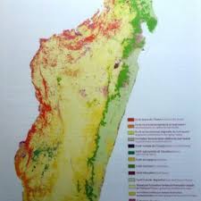 Si vous avez déjà une carte de visite, utilisez la comme d'habitude. Carte De Vegetation De Madagascar Download Scientific Diagram