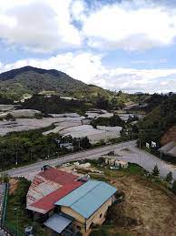 In fact, you can observe how strawberries are grown and produced here which makes cameron highlands one of the top strawberries. Blue Valley Residence Facebook