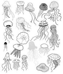 Pin By Olaya On Vneshnij Vid Jellyfish Drawing Creature Drawings Jellyfish Art
