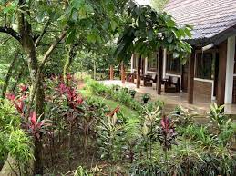Desa wisata clapar (kampung krisan). Kampoeng Wisata Rumah Joglo Prices Guest House Reviews Ciampea Indonesia Tripadvisor