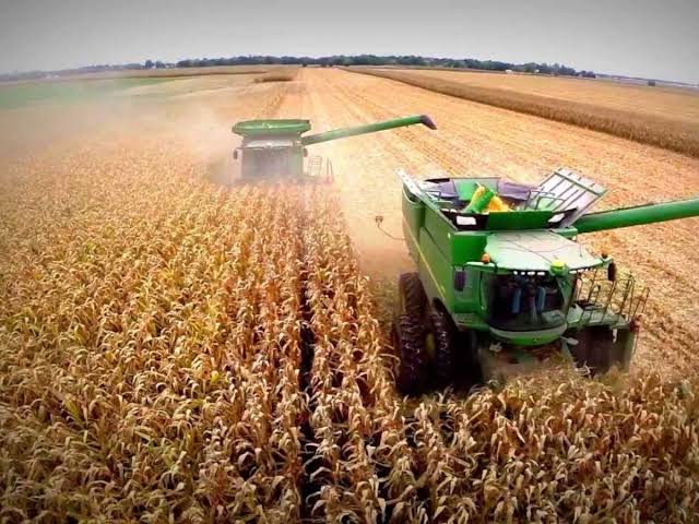 La producción de maíz de los Estados Unidos sufre un recorte de 34,3 millones – Radio Mitre