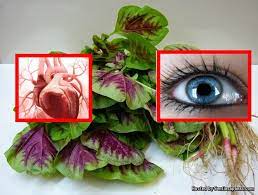 Menurut united states department of agriculture (usda), sayuran berdaun hijau adalah sumber vitamin seperti folat. Khasiat Sayur Bayam Untuk Kesihatan Mata Jantung Tulang Salur Darah Elak Kanser Bagus Untuk Ibu Mengandung Kartel Dakwah