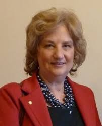 Il prefetto Maria Laura Simonetti mercoledì a Sedico