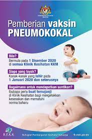 Vaksin untuk pneumonia adalah pneumococcal conjugate vaccine (pcv). 3 Dos Percuma Suntikan Vaksin Pneumokokal