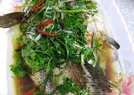 Resepi ikan kerapu stim @ kukus. Resep Stim Ikan Kerapu Oleh Koleksi Menu Harian Amanda Cookpad