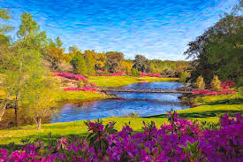 Spring pink flower tree trees. A Bridge On The River Among Trees Red Purple Flowers And Blue Sky Painting By Mustapha Dazi