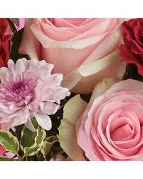 Same day, birthday, sympathy, romance, get well, congratulations San Bernardino Florist Find A Florist In A City Near You