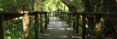 The Sea Pines Forest Preserve On Hilton Head Island Sc