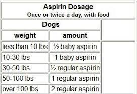 Dosing Bully Revolution Baby Aspirin For Dogs Aspirin For Dogs Puppy Time