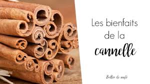 Quelles propriétés pour les he d'agrumes ? Les 7 Bienfaits De La Cannelle Les 4 Usages Les Precautions