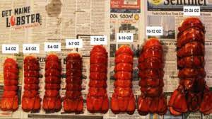 We may earn commission from links on this page, but we only recommend products we back. Find The Best 6 Oz Lobster Tail Price From 10 55 Tail