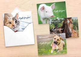 You'll need to indicate the name of the honor, the. Protect Animals Give A Gift The Humane Society Of The United States
