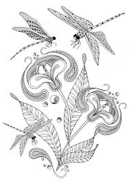 These pumpkin coloring pages are great for halloween, fall, and thanksgiving. Flowers Drawings Inspiration Adult Colouring Pages Of Dragonfly And Flower Illustration Printable Coloring Flowers Tn Leading Flowers Magazine Daily Beautiful Flowers For All Occasions