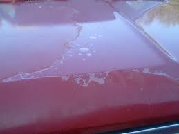 This is very common on cars that just. Can You Repair A Peeling Clear Coat Without Repainting The Car In Tucson Az O Rielly Collision Centers