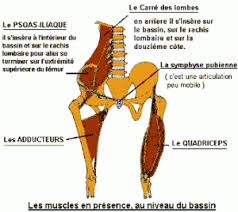 Soulager la symphyse pubienne durant la grossesse. Comment Soigner Une Pubalgie Quelles Incidences Sur Le Joueur De Foot