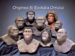Omul progresa din etapa in etapa in functie de dezvoltarea creierului sau. Originea Si Evolutia Omului Varianta Finala