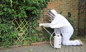 Get rid of pests now! Top 5 Pest Extermination Tips For Homeowners House Is Right
