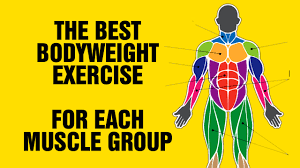 the best bodyweight exercise for each