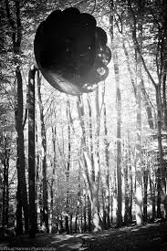 Doug Harman (dougharman)