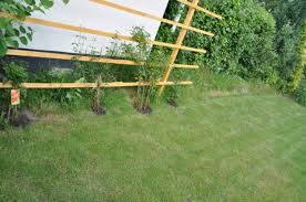 Solche zäune schützen sie und ihre. Sichtschutz Rankgitter Aus Holz Fur Den Garten Selber Bauen Hausbau Blog