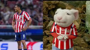 Esteban Solari