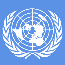 Image result for UN LOGO