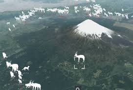 The dormant volcano is actually an active volcano, even though its last last eruption was at the end of 1707. Creation Of Mt Fuji Area Maps Aims To Reduce Traffic Fatalities Involving Wild Animals The Mainichi