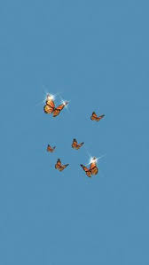 Check spelling or type a new query. 120 Aesthetic Butterflies Ideas Butterfly Wallpaper Butterfly Background Butterfly Wallpaper Iphone