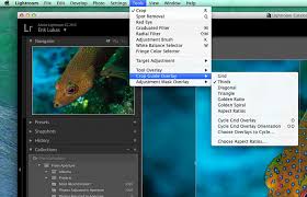 Change the grid view options. Lightroom Tips Tricks Crop Image Overlay Tool Underwater Photography Guide