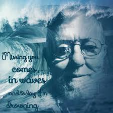 Photo effects collection by Susan Botha