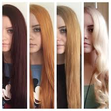 I had almost everything from different shades of blonde, brown, black and red/orange as well as a lot other colors like purple, green, blue, pink and even combos like brown hair with blonde strands or. 3 Week Journey Dark Red To Platinum Dark To Light Hair Color Correction Hair Hair Stages