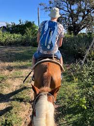 ひとり旅、ときどき日常