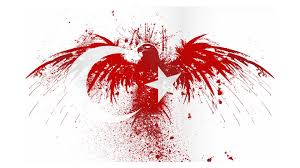 Hd Turk Bayragi Indir Turk Bayraklari Bayrak Resim Nadide Fotograflar