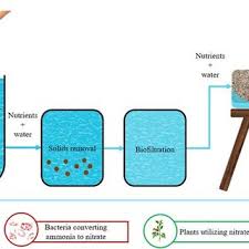 Pdf Analysis Of Application Of Aquaponic System As A Model Of The Circular Economy A Review