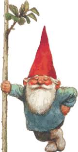 Image result for hawaii Gnomes