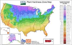 The lesson plan and worksheets can be downloaded below. Usda Plant Hardiness Zones
