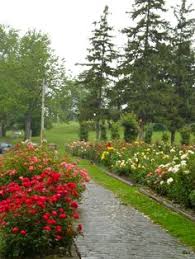 Maybe you would like to learn more about one of these? 47 Stunning Ideas Beautiful Flowers Flowers Beautiful