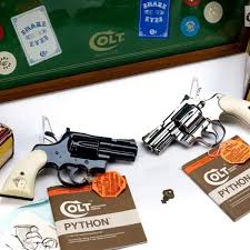 Image result for Grace Silver 1989 Colt