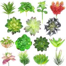 | skip to page navigation. 35 Latest Artificial Succulent Plants Bulk Pink Wool