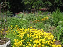 Listing of public library locations in usa, including locations, hours, holiday hours, phones and maps etc Ginter Park Garden Tour Richmond Spca