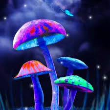 Fantasy art, mushroom, nebula, universe, magic mushrooms, screenshot, computer wallpaper, special effects, outer space, psychedelic art. Magic Mushroom Wallpapers Group 56