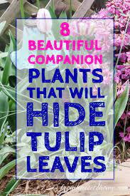 Spring Flower Combinations 8 Beautiful Shade Perennials To Combine With Spring Bulbs Gardening From House To Home Spring Bulbs Garden Shade Perennials Spring Flowering Bulbs