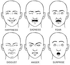 First i drew the anatomy of the skull including the neck. 34 Ways To Learn How To Draw Faces Diy Projects For Teens