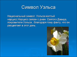 Также 5 примечания флаги флаг уэльса. Flag I Simvoly Velikobritanii Prezentaciya Onlajn