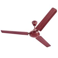 We did not find results for: Buy Usha Racer 1200mm Ultra High Speed 400rpm Ceiling Fan Brown W O Reg Online At Low Prices In India Amazon In